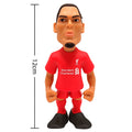Liverpool FC MINIX Figure 12cm Van Dijk, packaging shot