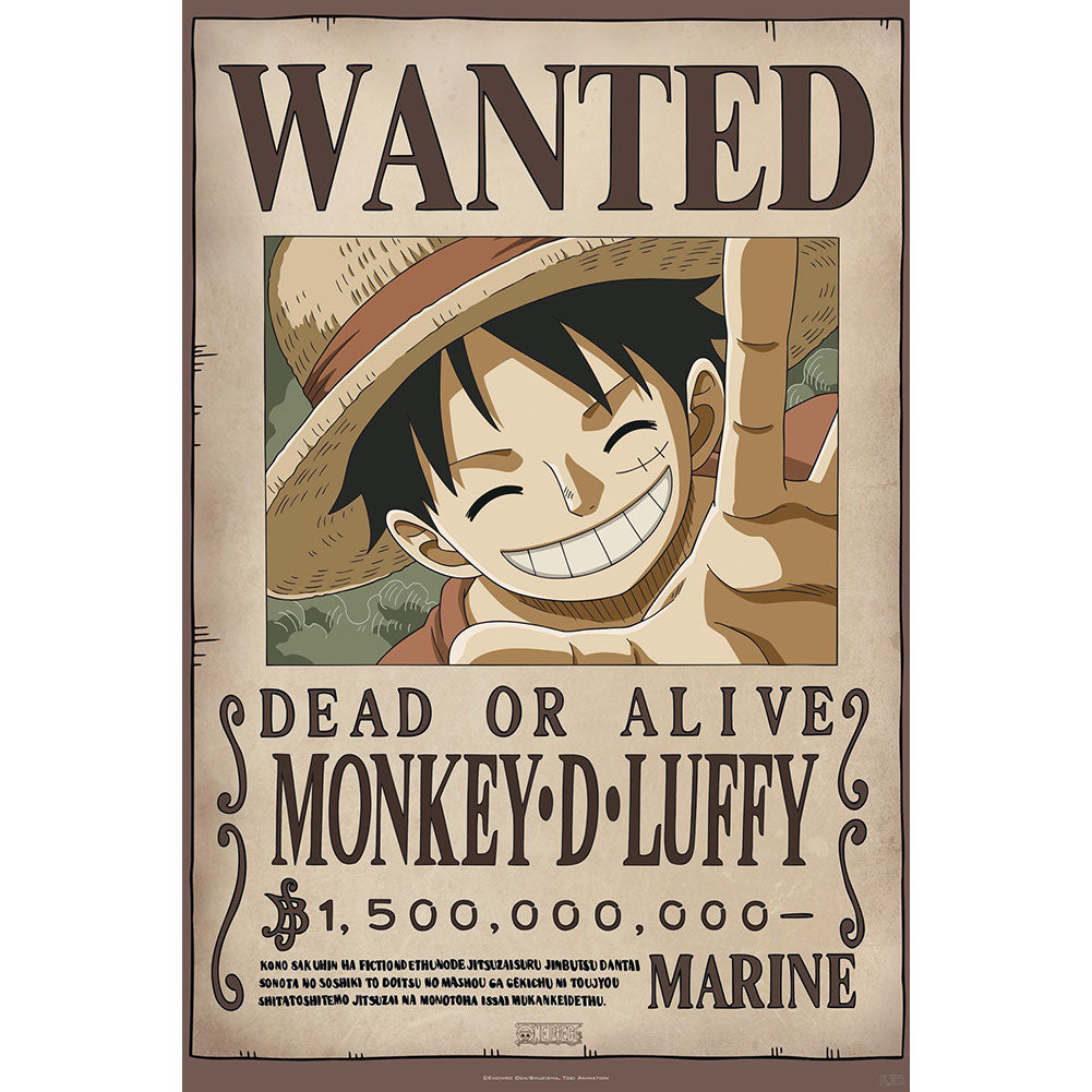 One Piece Wanted Poster