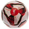 Liverpool FC Tracer Football, alternate view