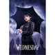 Wednesday Downpour Poster