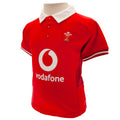 Wales RU Shirt & Short Set 9/12 mths SP, alternate view