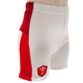 Wales RU Shirt & Short Set 6/9 mths SP, side angle