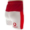 Wales RU Shirt & Short Set 9/12 mths SP, close-up detail