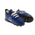 Everton FC Mini Football Boots, alternate view