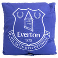 Everton FC Cushion, alternate view
