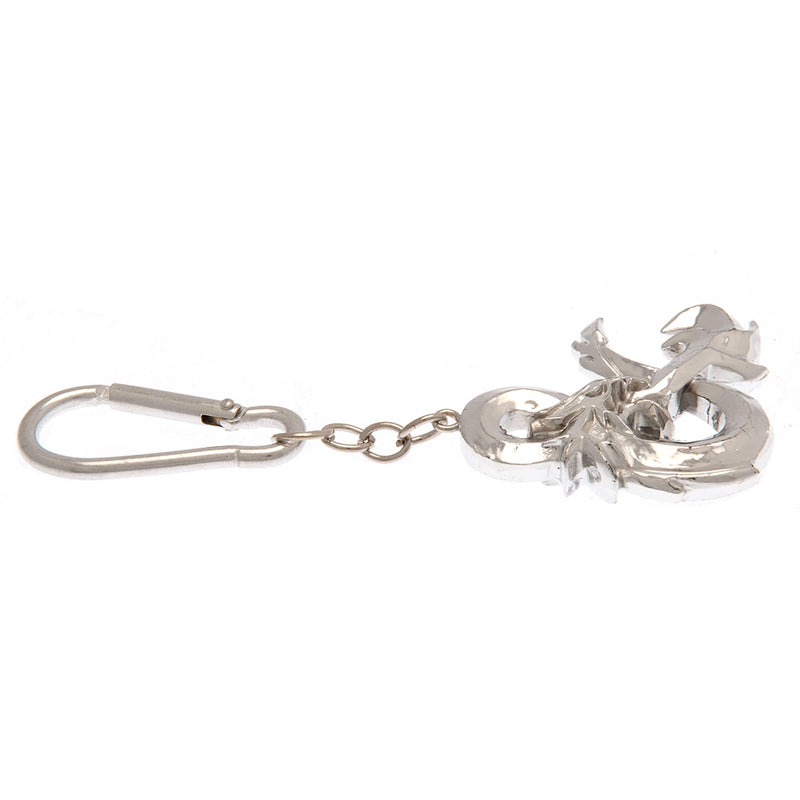 Dungeons & Dragons 3D Keyring, alternate view