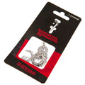 Dungeons & Dragons 3D Keyring, close-up detail