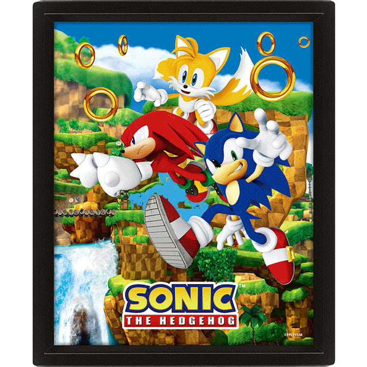 Official Sonic The Hedgehog Framed 3D Picture