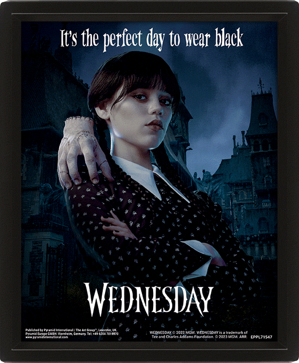 Official Wednesday (Netflix) Framed 3D Picture