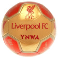 Liverpool FC Sig 26 Football, alternate view