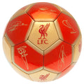 Liverpool FC Sig 26 Football, side angle