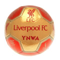 Liverpool FC Signature 26 Skill Ball, alternate view