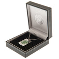 Celtic FC Enamel Crest Dog Tag & Chain, side angle