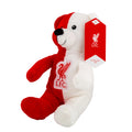 Liverpool FC Contrast Bear, close-up detail