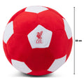 Liverpool FC Plush Football, close-up detail