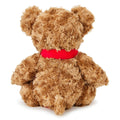 Liverpool FC Supersoft Classic Bear, close-up detail