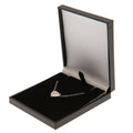 Chelsea FC Stainless Steel Heart Necklace, side angle