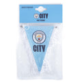 Manchester City FC Triangular Mini Pennant, close-up detail