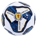 Scottish FA Tracer Football, alternate view