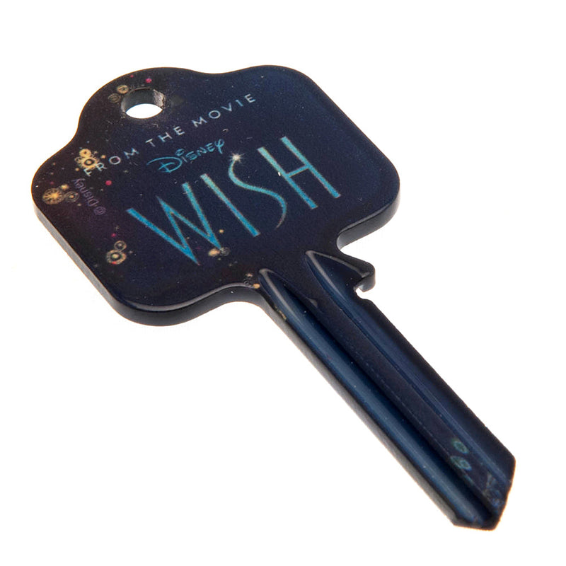Wish Door Key Asha, alternate view