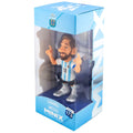 Argentina MINIX Figure 12cm Messi, in display