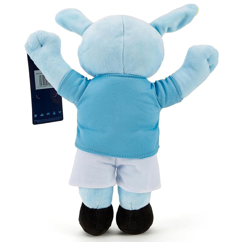 Manchester City FC Plush Moonchester Mascot, close-up detail