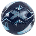 Tottenham Hotspur FC Turbine Football, alternate view