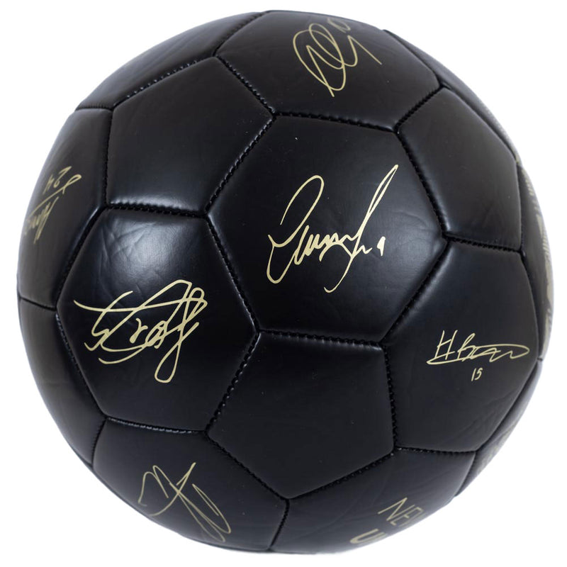 Newcastle United FC Sig Gold Phantom Football, alternate view