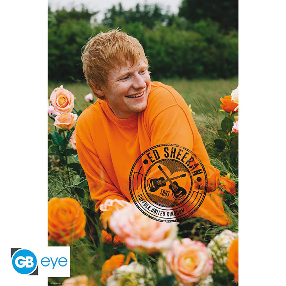 Ed Sheeran Field Poster