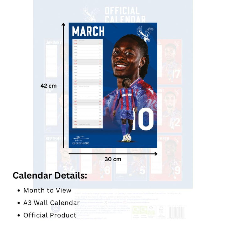 Crystal Palace FC A3 2025 Calendar