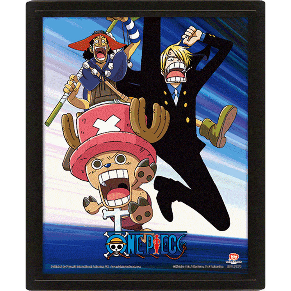 One Piece Framed Assault 3D Picture