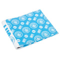 Manchester City FC Coloured Icon Wallet collectible from Infinity Collectables 2026