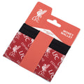 Liverpool FC Coloured Icon Card Holder, side angle