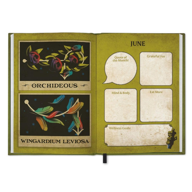Harry Potter 2026 Calendar & Diary Gift Box, packaging shot