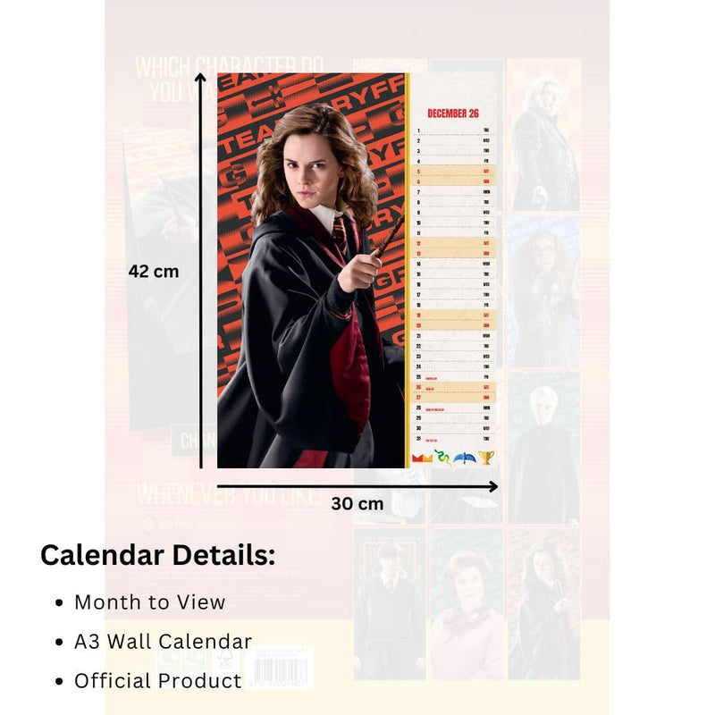 Harry Potter A3 Calendar 2026, rear view