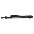 Newcastle United FC Reflective Dog Lead, alternate view