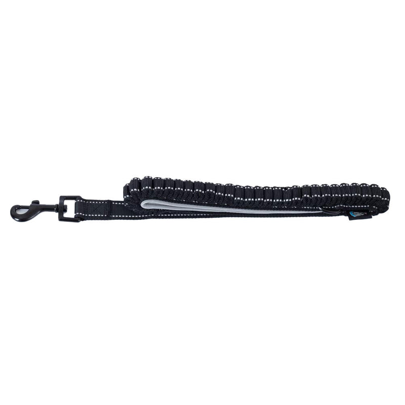 Newcastle United FC Reflective Dog Lead, alternate view