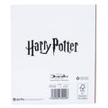 Harry Potter Dobby Birthday Card, close-up detail