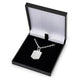 Aston Villa FC Silver Plated Boxed Pendant CR