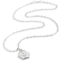 Wolverhampton Wanderers FC Silver Plated Pendant & Chain