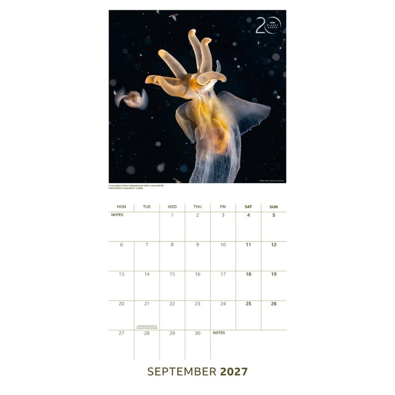 BBC Earth Square Calendar 2027