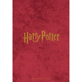 Harry Potter A5 Diary 2027