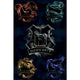 Harry Potter Houses Poster 79
