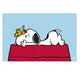 Snoopy Doghouse Desk Mat