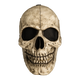 Sleepy Hollow Horseman Skull Deluxe Injection Mask