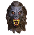 An American Werewolf in London Nightmare Demon Mask front view
