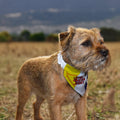 The Tartan Army Rip - Dog Bandana - 4 Sizes, alternate view