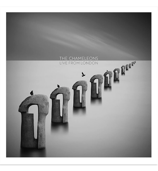 The Chameleons – Live from London (Double-LP on Clear Vinyl), alternate view