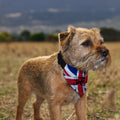 The Jam - Dog Bandana - 4 Sizes, side angle