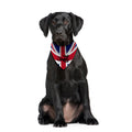 The Jam - Dog Bandana - 4 Sizes, alternate view